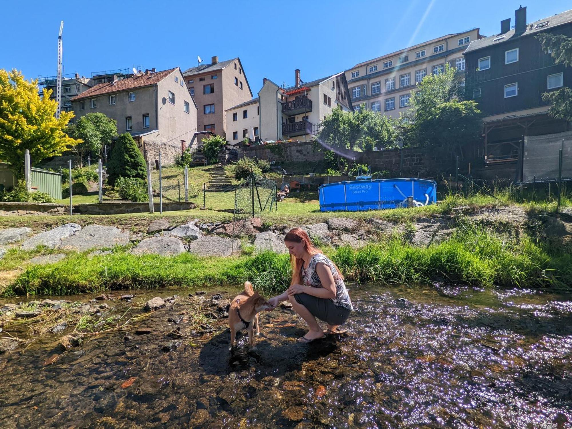 F1 - Urlaubsmagie - Helle Wohnung Mit Sauna & Pool & Whirlpool Sebnitz Εξωτερικό φωτογραφία