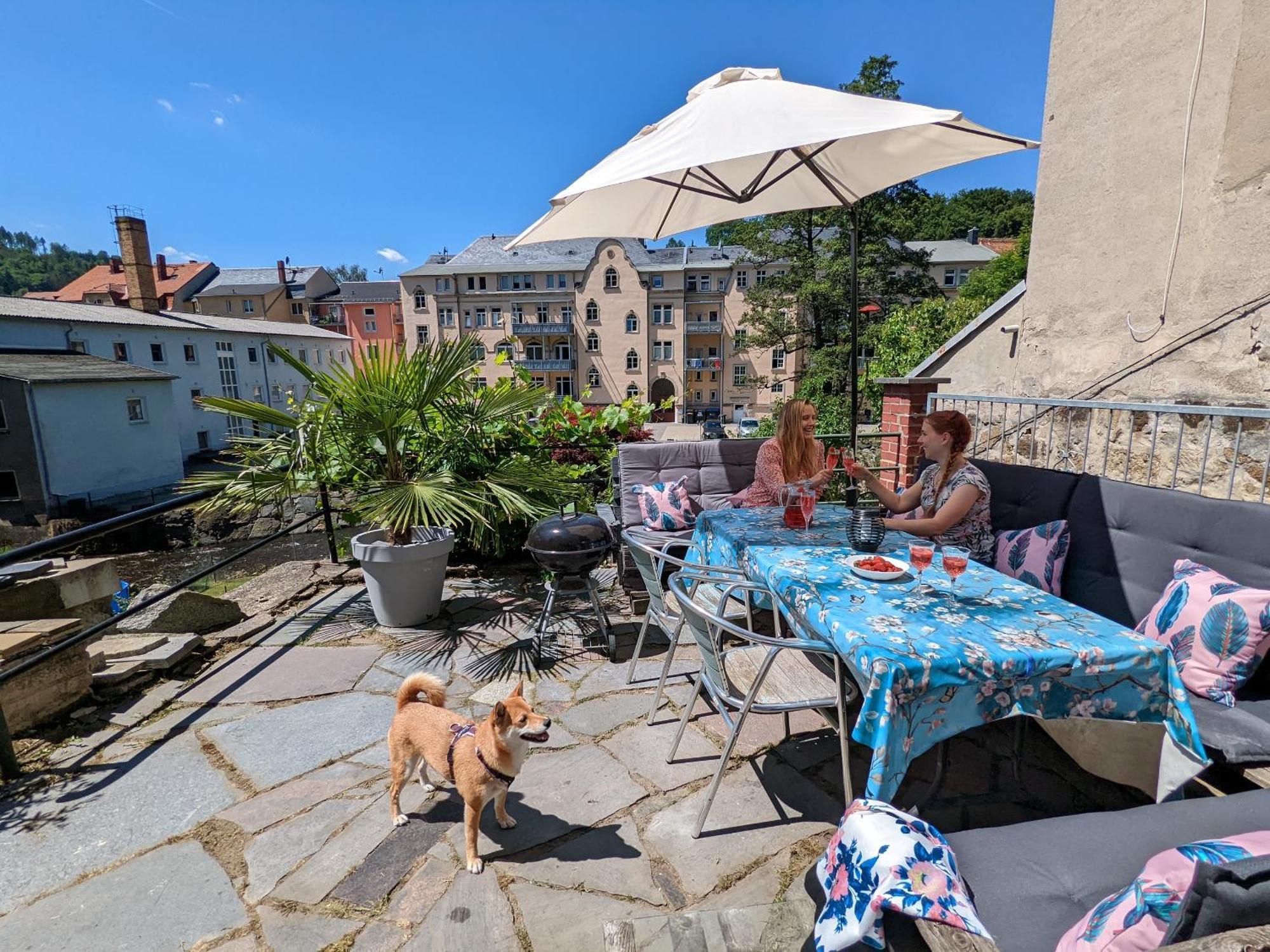 F1 - Urlaubsmagie - Helle Wohnung Mit Sauna & Pool & Whirlpool Sebnitz Εξωτερικό φωτογραφία