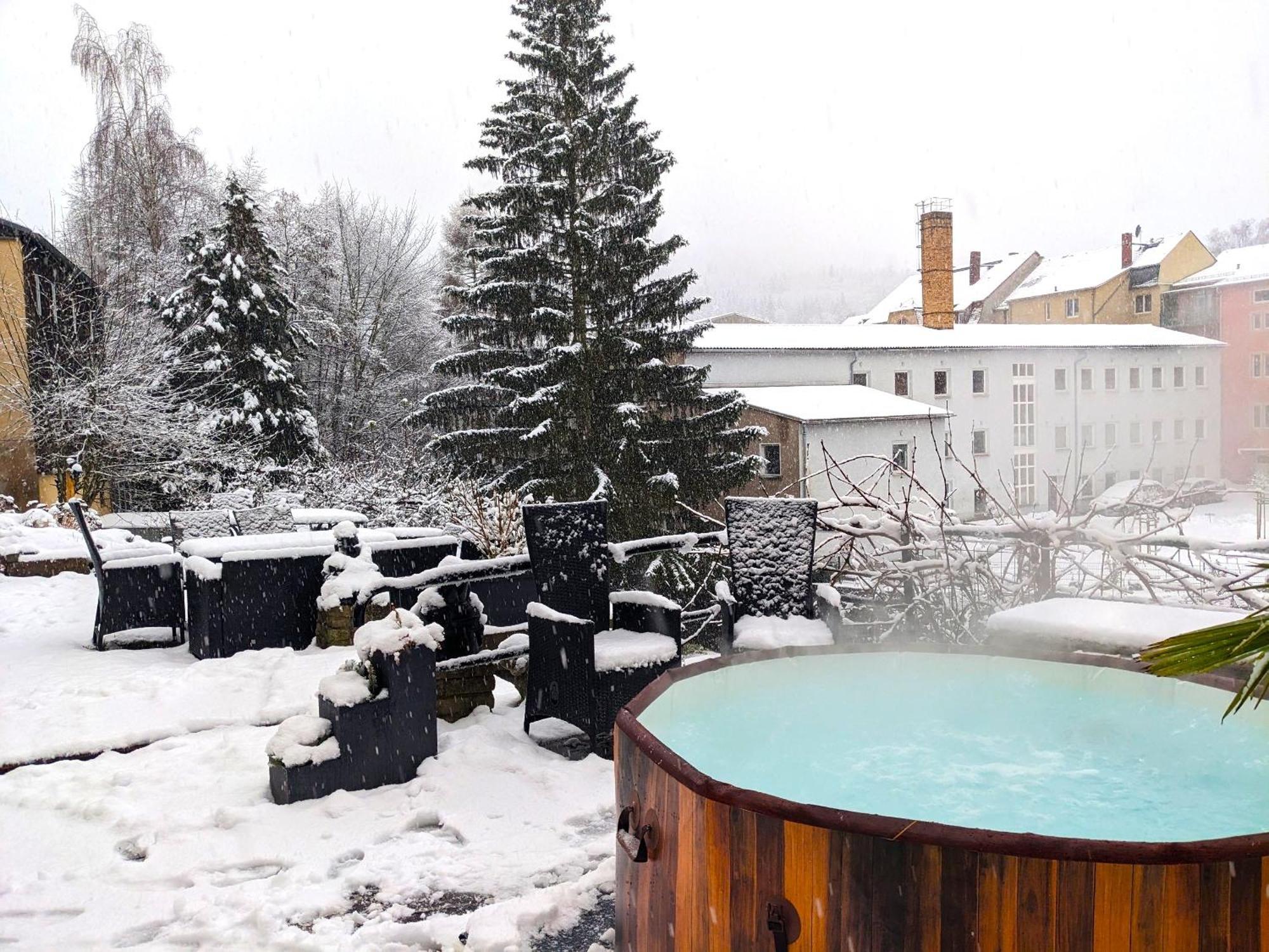 F1 - Urlaubsmagie - Helle Wohnung Mit Sauna & Pool & Whirlpool Sebnitz Εξωτερικό φωτογραφία