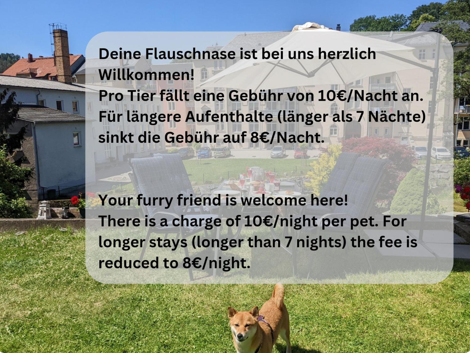 F1 - Urlaubsmagie - Helle Wohnung Mit Sauna & Pool & Whirlpool Sebnitz Εξωτερικό φωτογραφία